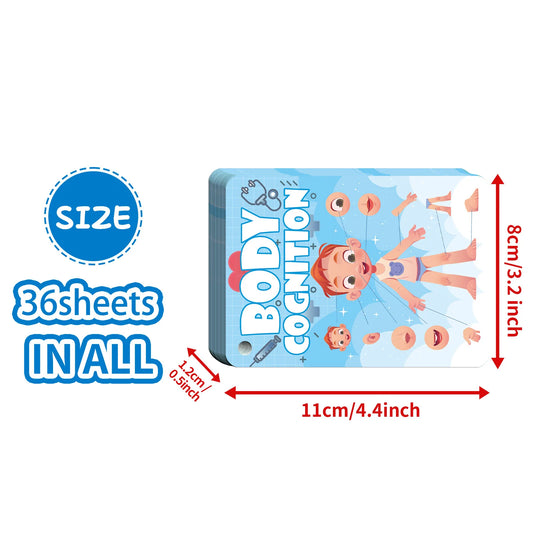 Bview Art 36 Bodies Knowledge Baby Early Learning Picture Flash Cards for Toddlers Kids Preschool Educational Toys Game Gift